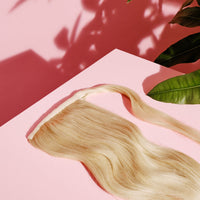 Ponytail (queue de cheval)