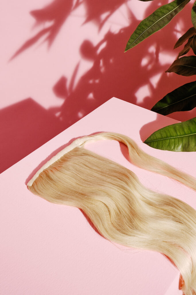 Ponytail (queue de cheval)